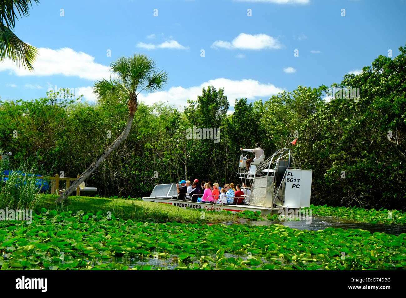 La promenade en bateau à travers le parc national des Everglades, Florida, USA Banque D'Images