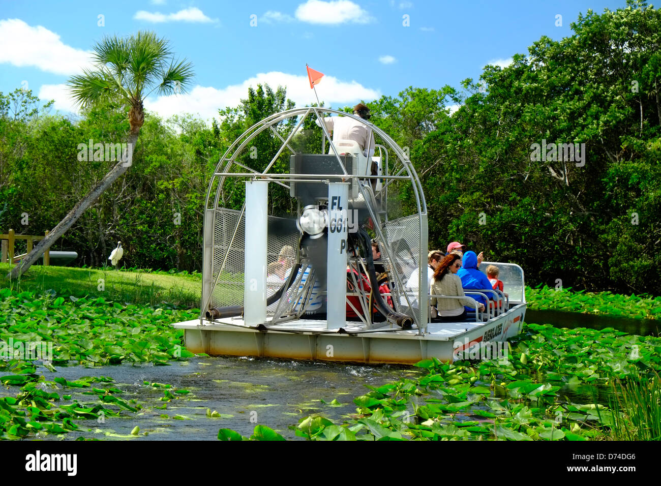 La promenade en bateau à travers le parc national des Everglades, Florida, USA Banque D'Images
