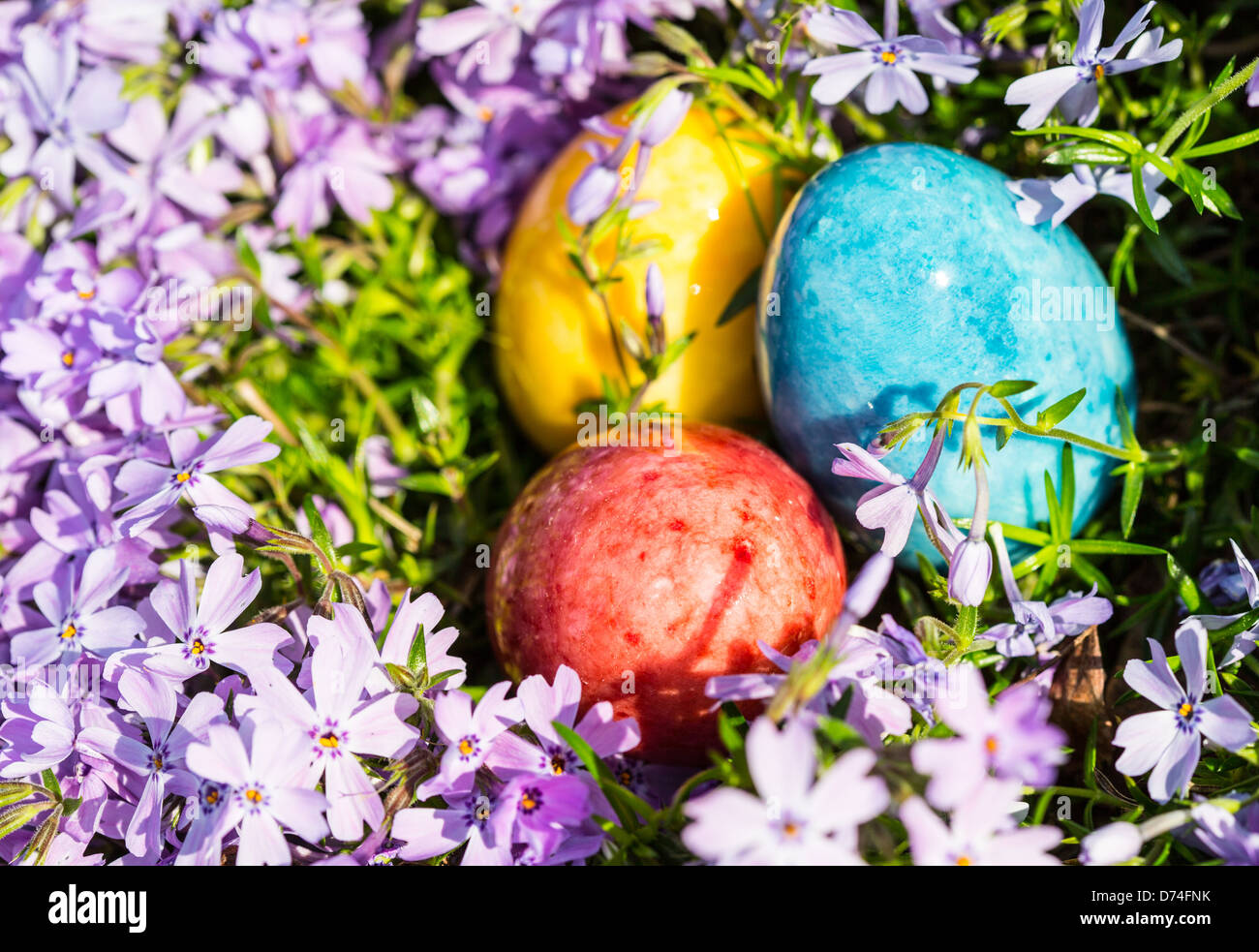 L'albâtre des œufs de Pâques cachés dans un patch de Phlox sauvages pour les enfants à trouver. Banque D'Images