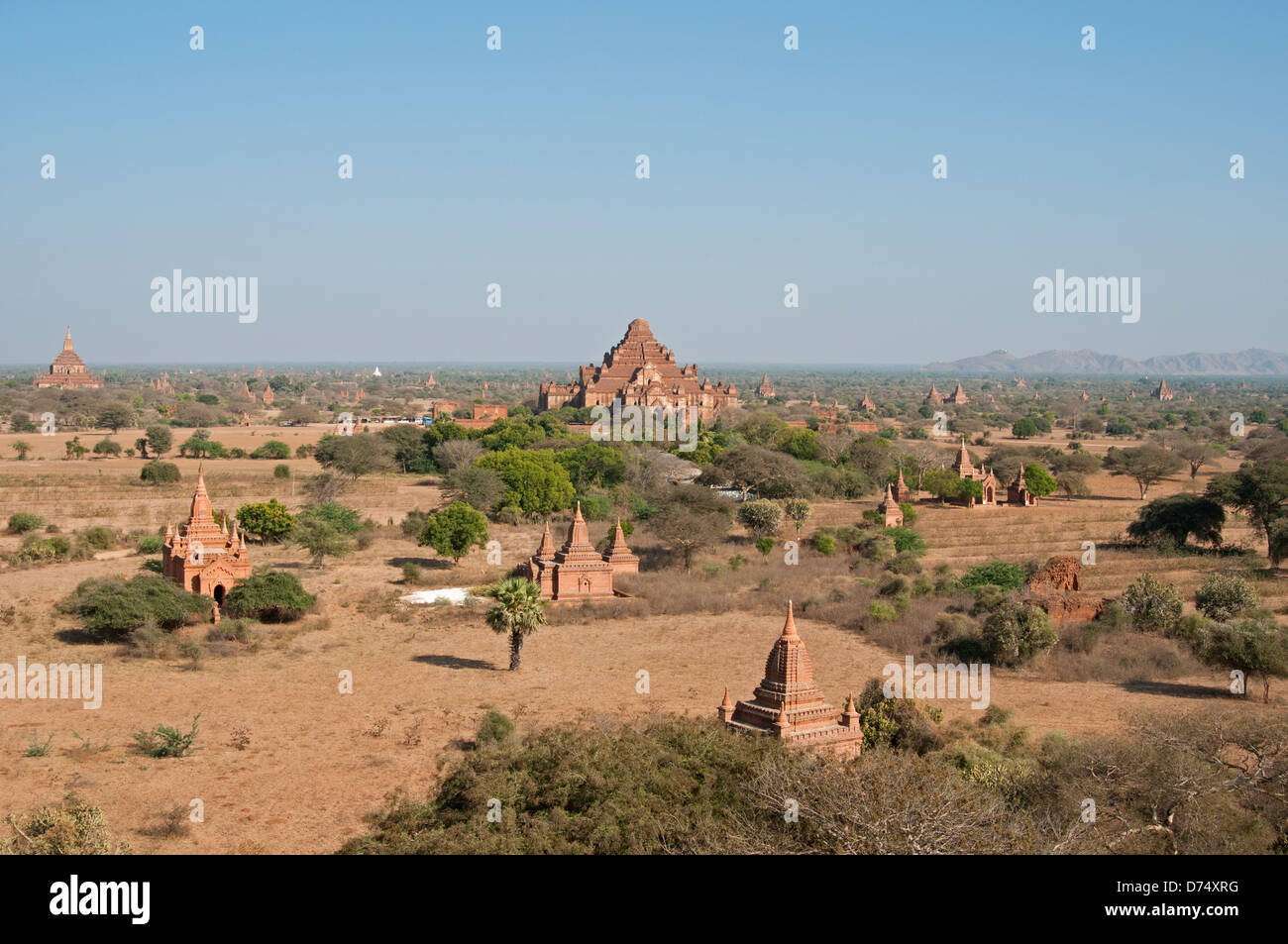 Le Dhammayangyi pagode à Bagan Myanmar (Birmanie) Banque D'Images
