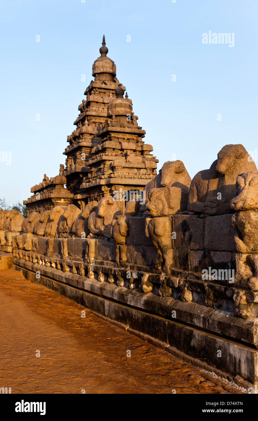 Sculptures de Nandi Bull Temple rivage ancien autour de Mahabalipuram, district de Kanchipuram, au Tamil Nadu, Inde Banque D'Images