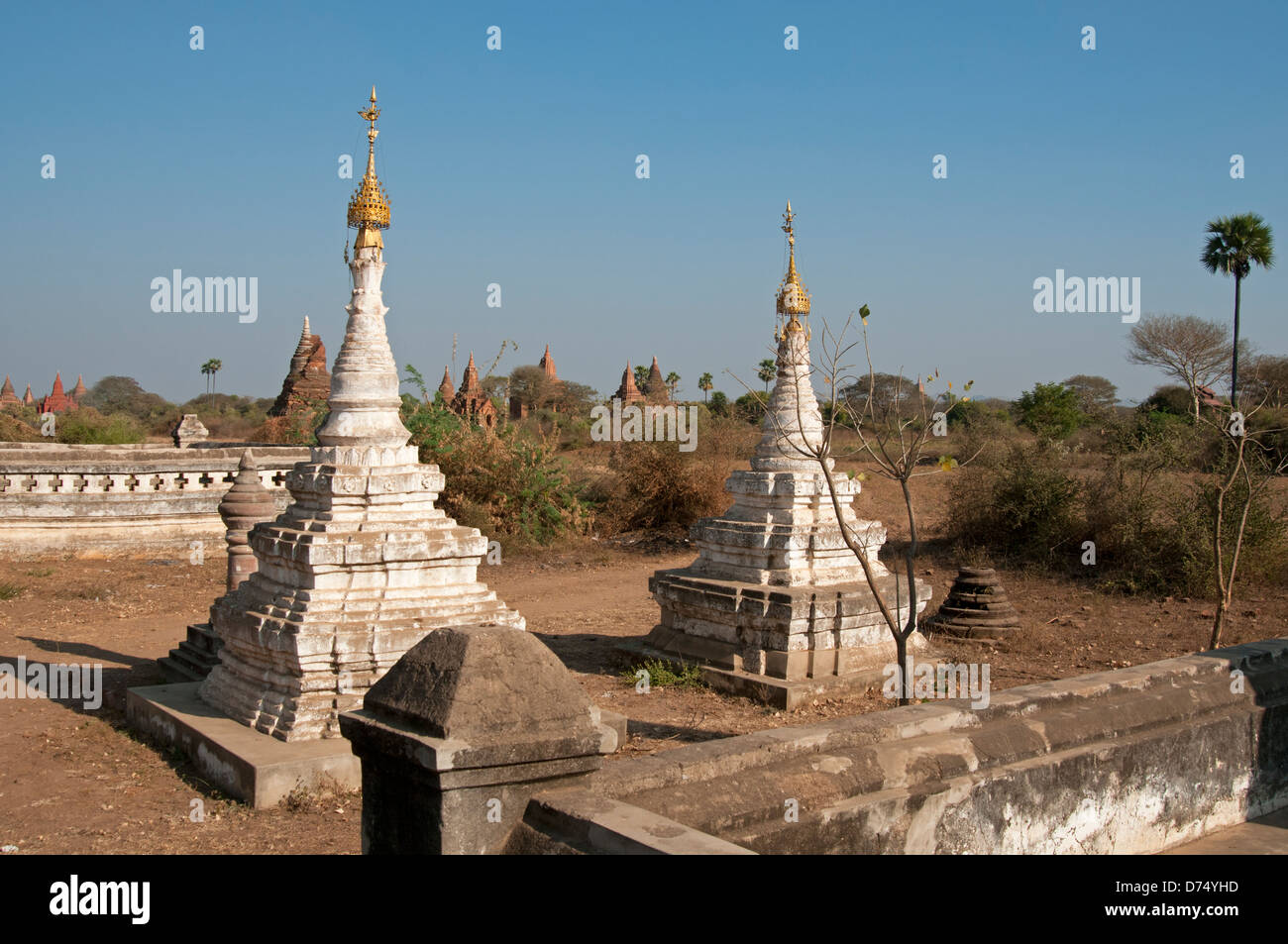 Les flèches blanches dans les jardins du temple à Bagan Myanmar (Birmanie) Banque D'Images