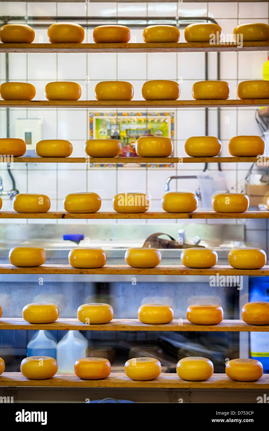 En fromagerie de Zaanse Schans, Zaandam, Hollande du Nord, Pays-Bas Banque D'Images