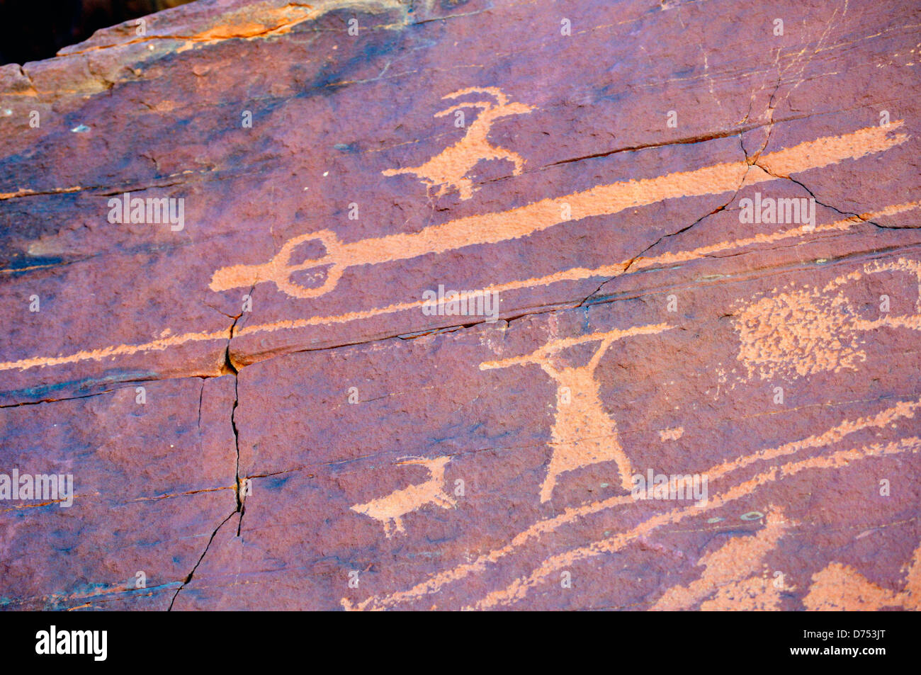 Atlatl Rock pétroglyphes, Vallée de Feu Park, montrant un atlatl (juste en dessous de la bighorn sheep) Banque D'Images