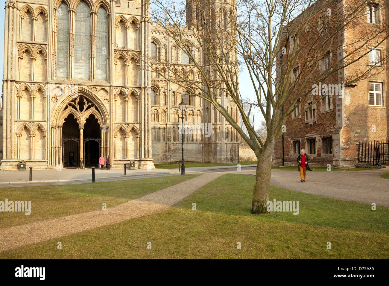 Cathédrale d'Ely et l'Évêché vu de Palace Green dans la soirée, Ely Cambridgeshire UK Banque D'Images