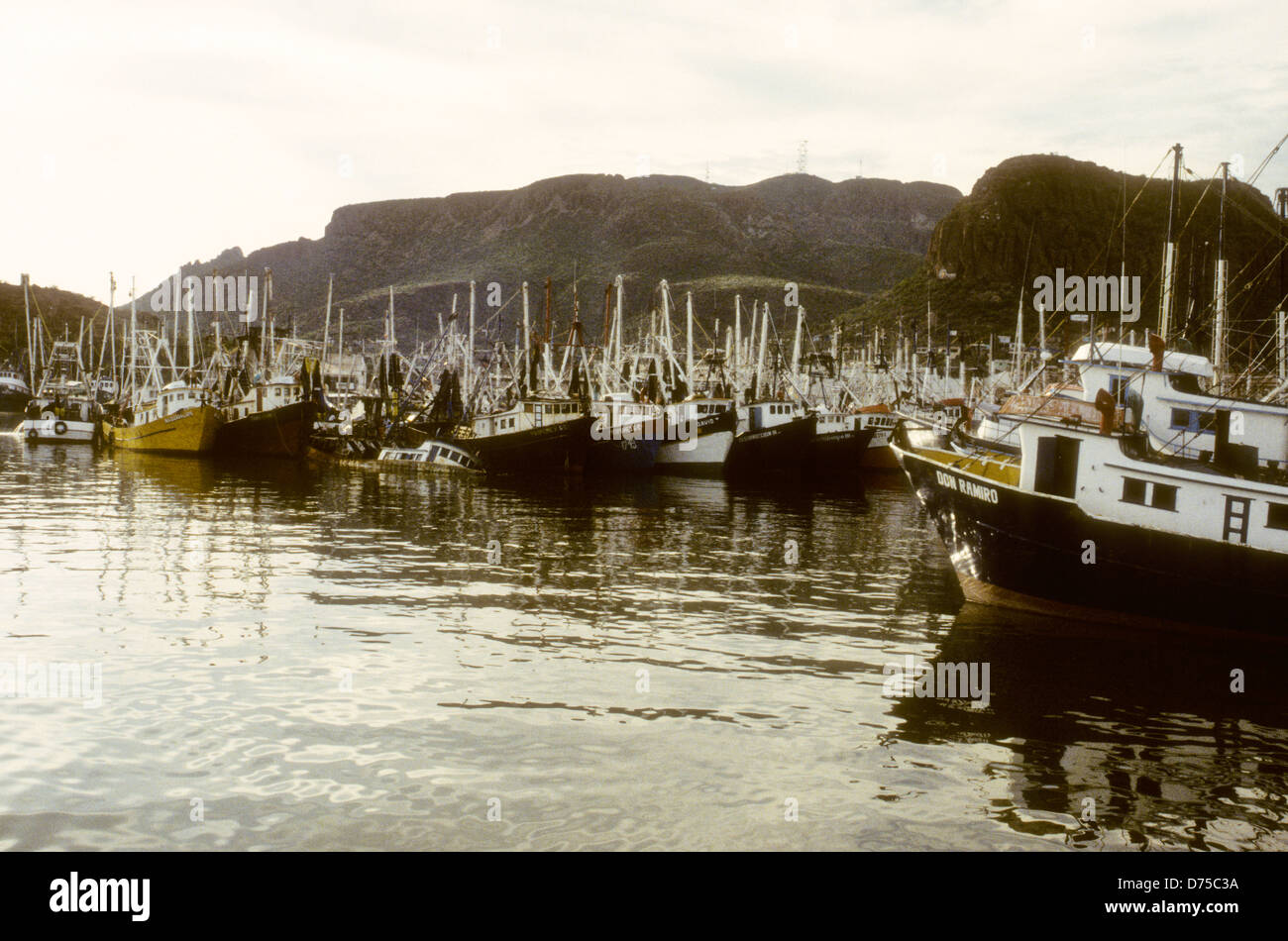 Mer de Cortes,Oct 1994 Digital Underwater Slide,Conversions un golfe qui sépare la péninsule de Baja California Etats-Unis du Mexique Banque D'Images