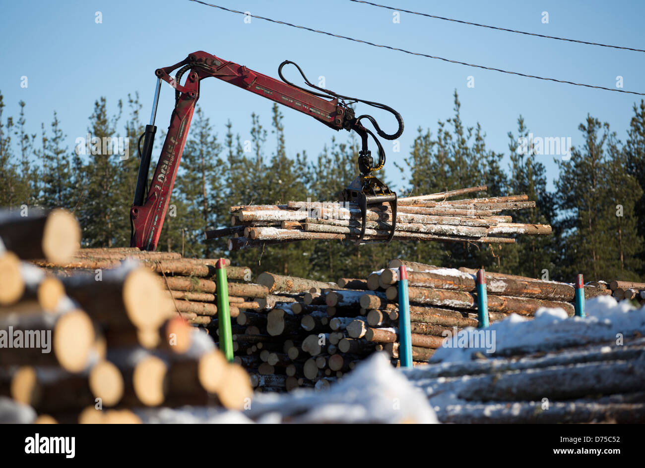 Le chargement par grue de sciage d'un camion à former , Finlande Banque D'Images