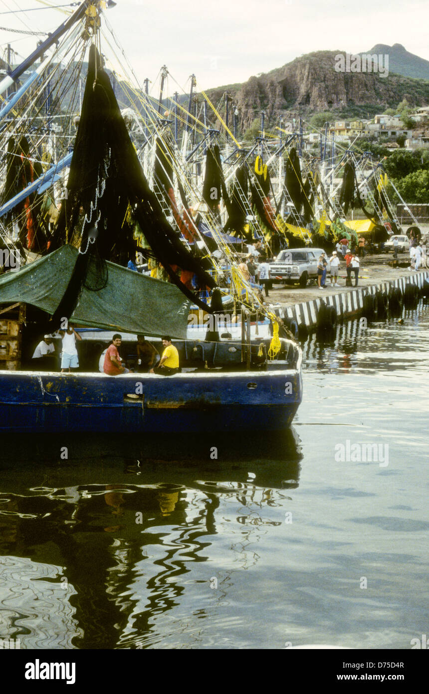 Mer de Cortes,Oct 1994 Digital Underwater Slide,Conversions un golfe qui sépare la péninsule de Baja California Etats-Unis du Mexique Banque D'Images