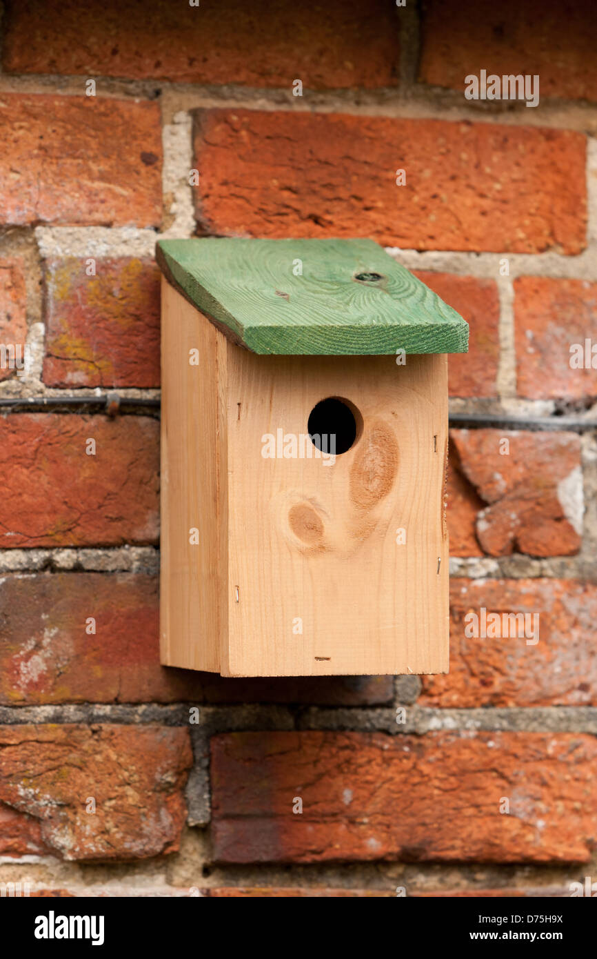 Oiseaux en bois fort monté sur un mur du jardin en brique Banque D'Images