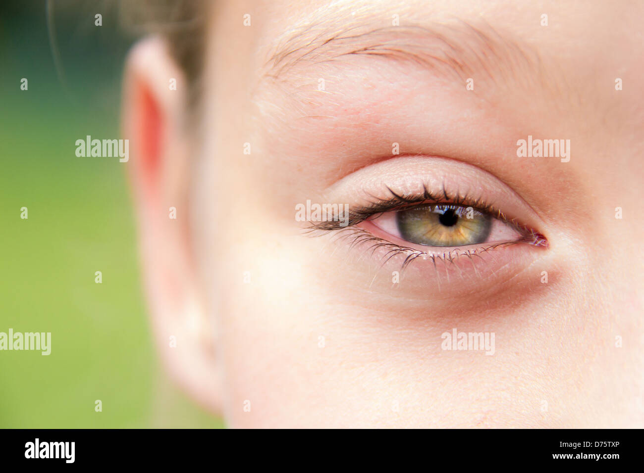 Green eye close up Banque D'Images