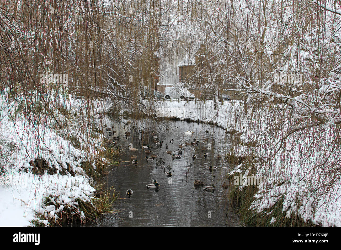 Photos de la neige dans et autour de St Paul's Cray le capital des pays et les banlieues environnantes a connu son premier Banque D'Images