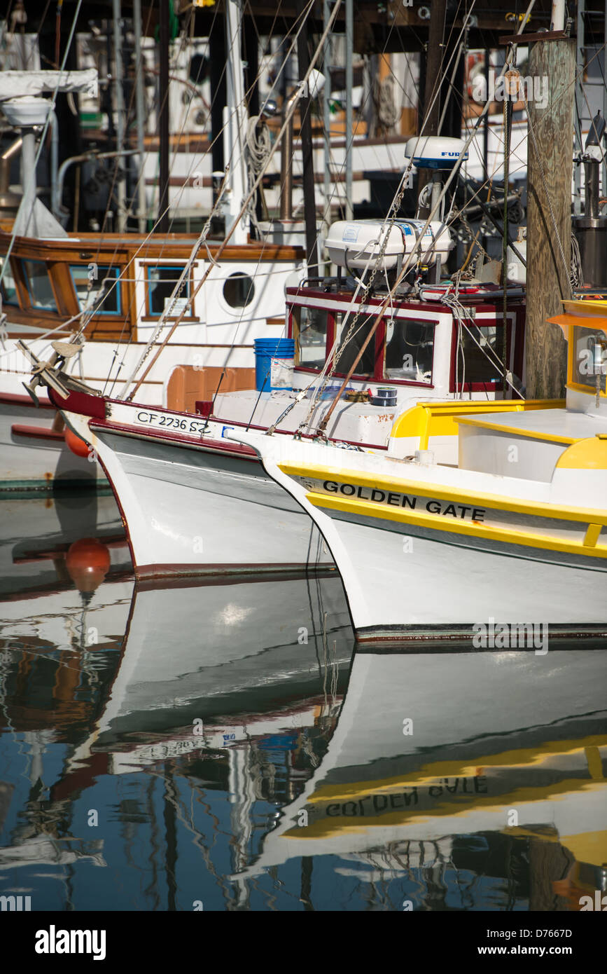 SAN FRANCISCO, Californie, États-Unis — les bateaux de pêche en bois colorés reposent à leurs mouillages dans la grotte des pêcheurs, à côté du célèbre Fisherman's Wharf à San Francisco. Cette scène pittoresque capture le patrimoine maritime durable de la région, mettant en vedette les bateaux de pêche traditionnels dans le contexte de l'une des destinations touristiques les plus populaires de la ville, où l'industrie de la pêche et le tourisme se croisent. Banque D'Images