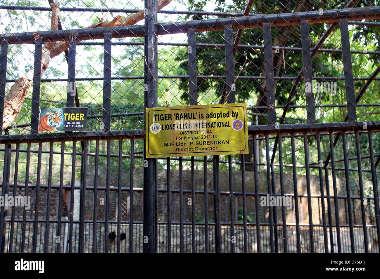 Affiche du conseil dans la cage d'un tigre indiquant que Tiger Rahul est été adopté par le Lions Club International Banque D'Images