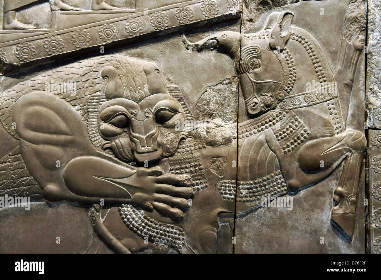 19 ème C plâtre dans le British Museum de lion zoroastrienne bull attaque environ 500 BC. Palais de Darius à Persépolis, Iran Banque D'Images