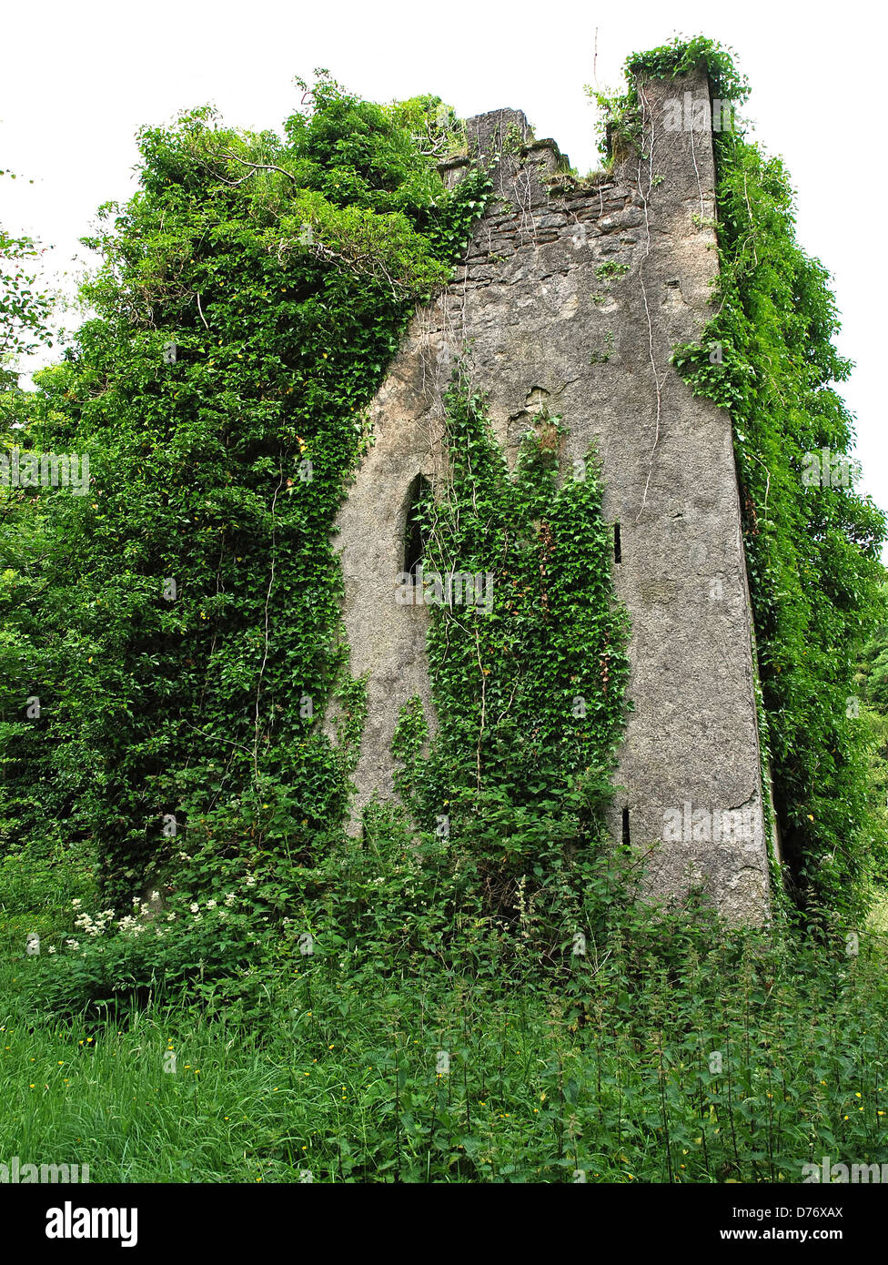 Ruines du château de Caldwell, 17thC, Siècle, Lower Lough Erne, comté de Fermanagh, en Irlande du Nord Banque D'Images