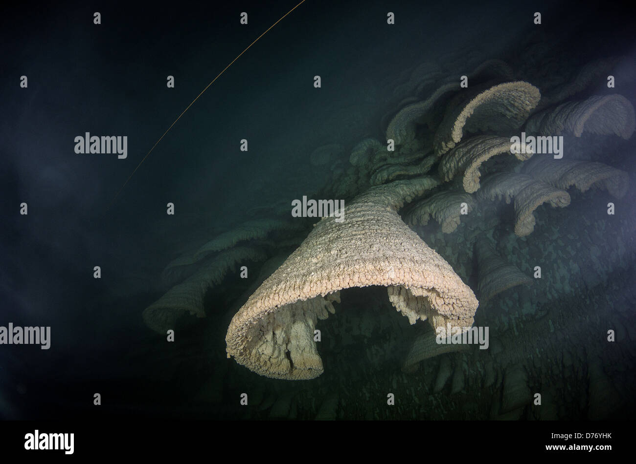 Mexique Puerto Morelos stalactites en forme de cloche sous-marine en formations cenote Banque D'Images