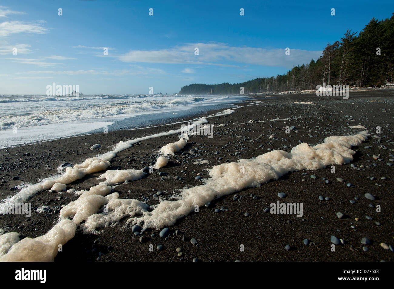 USA Washington Sea Foam de Rialto Beach dans le parc national Olympic Banque D'Images
