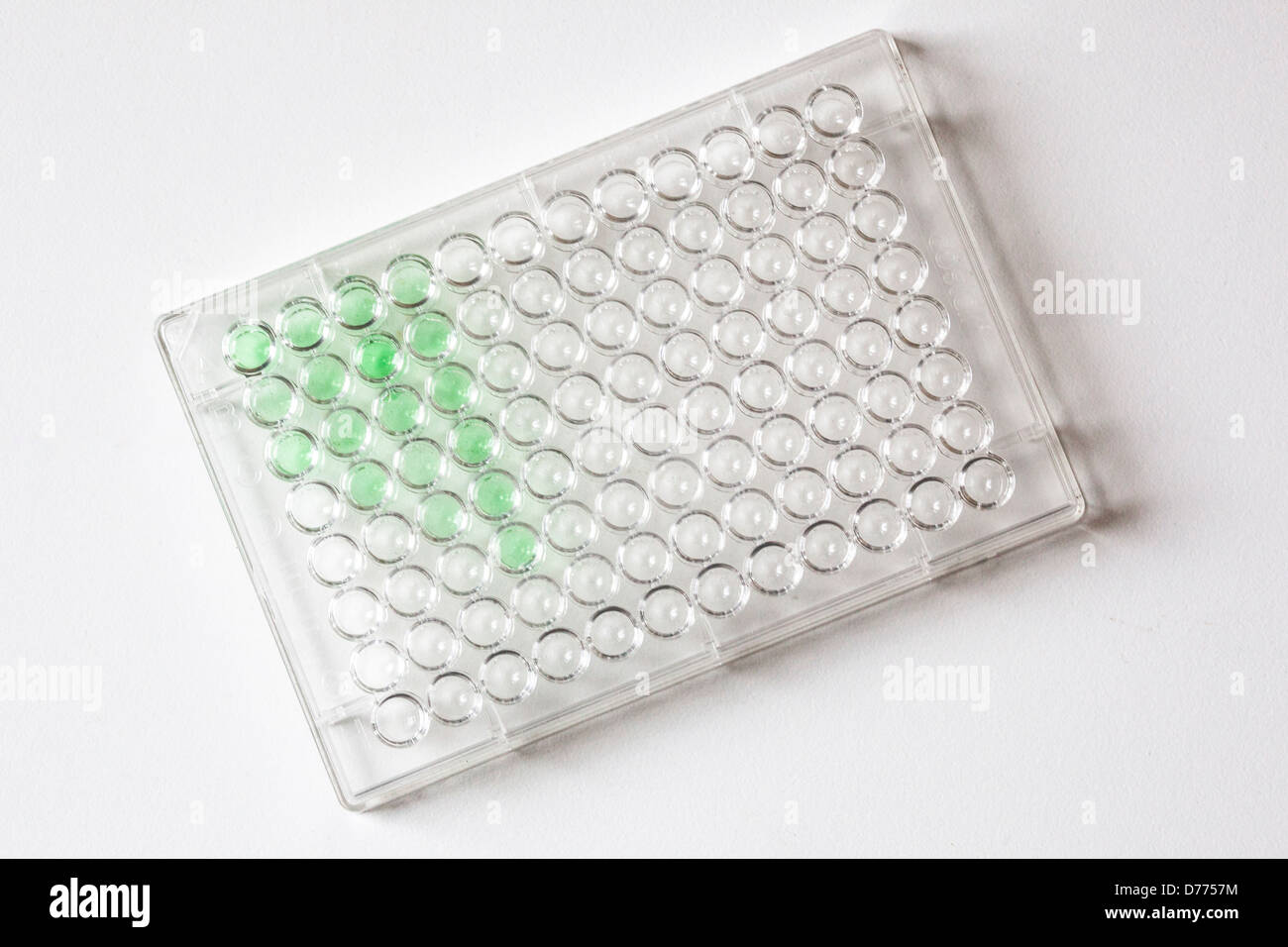 Plaque de test scientifique biotechnologie Banque D'Images