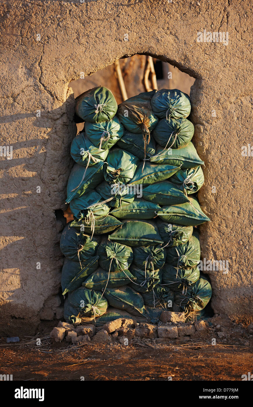 Porte sacs de la province de Helmand en Afghanistan Banque D'Images