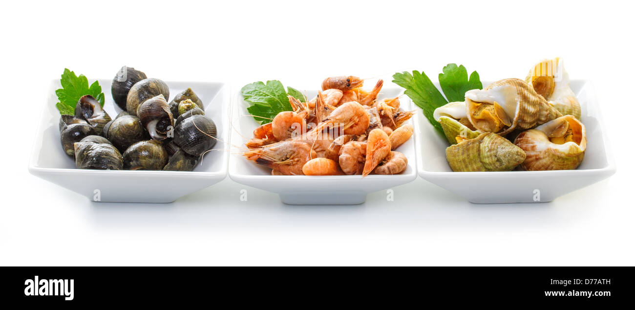 Les coquillages avec des herbes. Banque D'Images