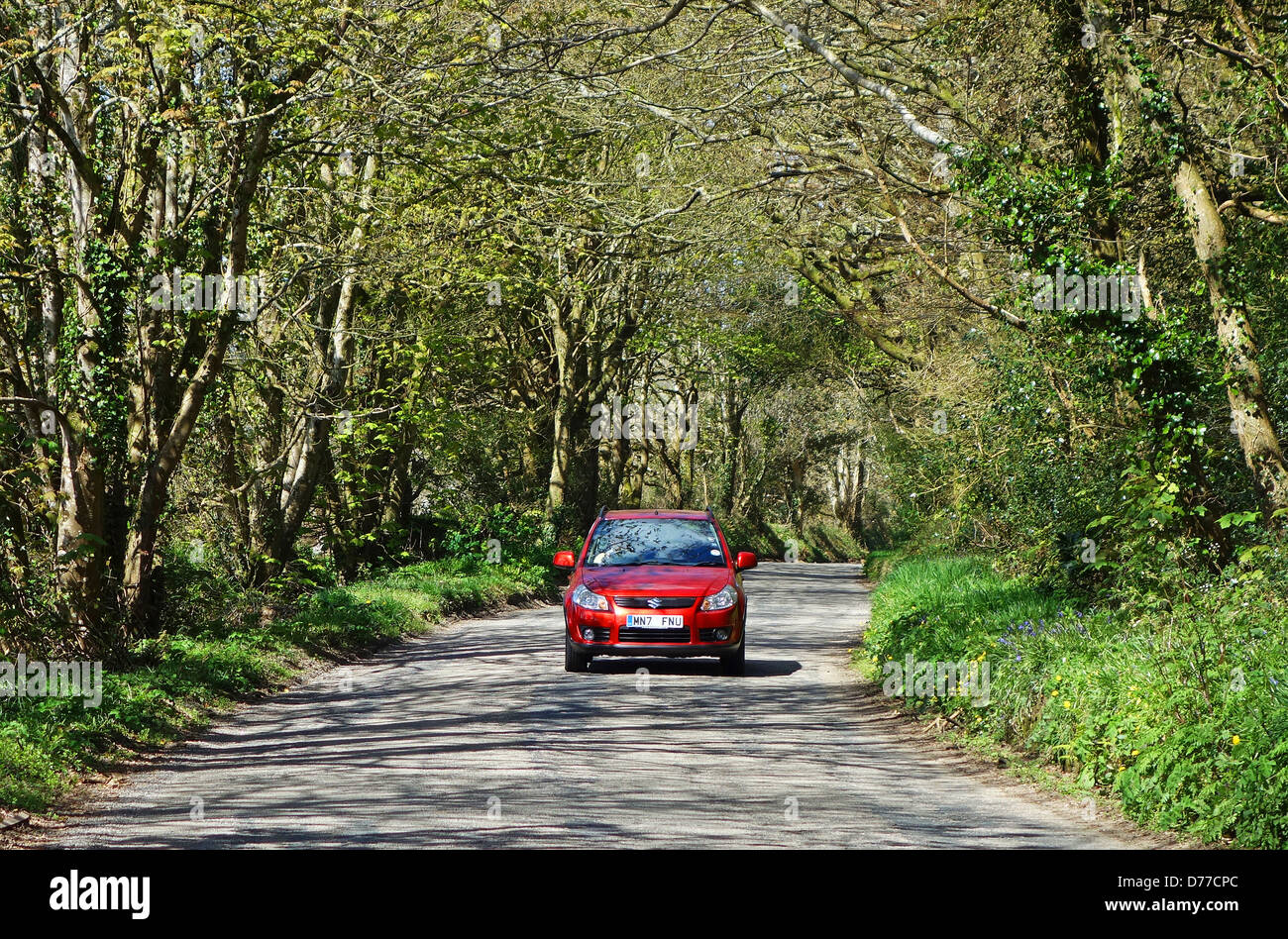 Une voiture rouge roulant le long d'une route des bois Banque D'Images Une voiture rouge roulant le long d'une route des bois Banque D'Images