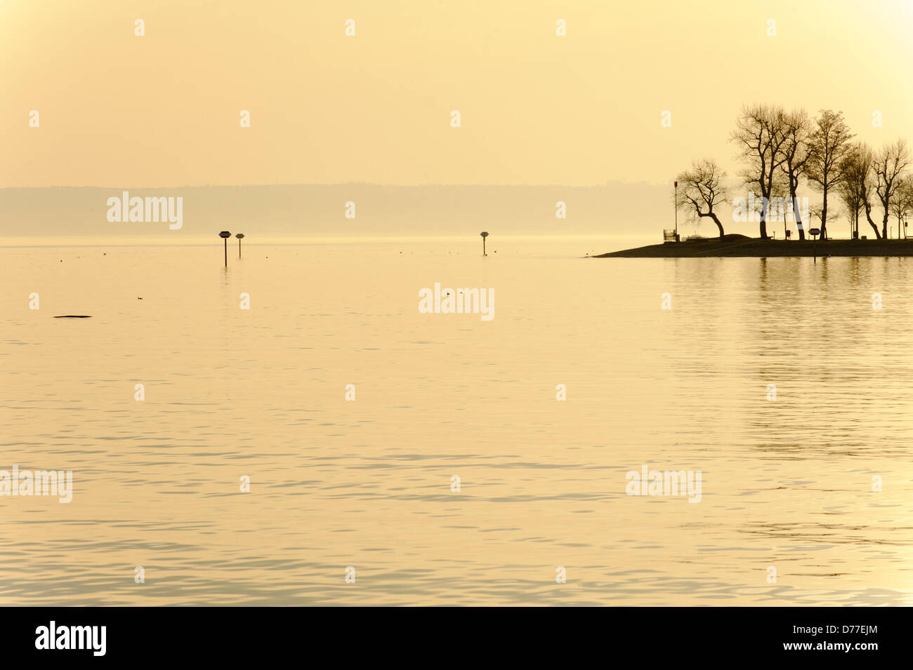 Silhouette des arbres contre le Ciel de coucher du soleil à Lake Shore, Immenstaad Lac de Constance Allemagne Bade-Wurtemberg Banque D'Images
