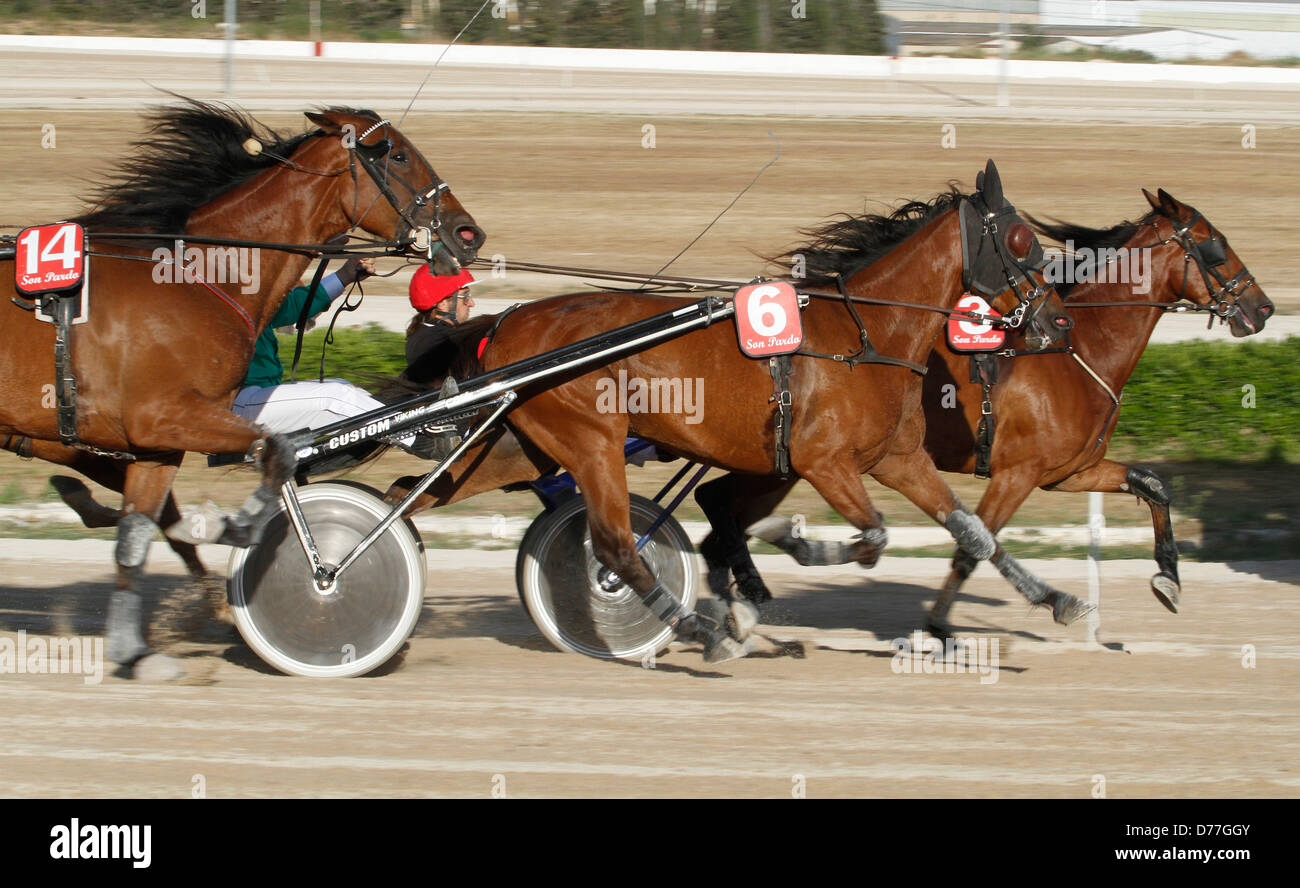 Riders en compétition pendant un cheval de course du faisceau à Palma de Mallorca's hippodrome. Banque D'Images