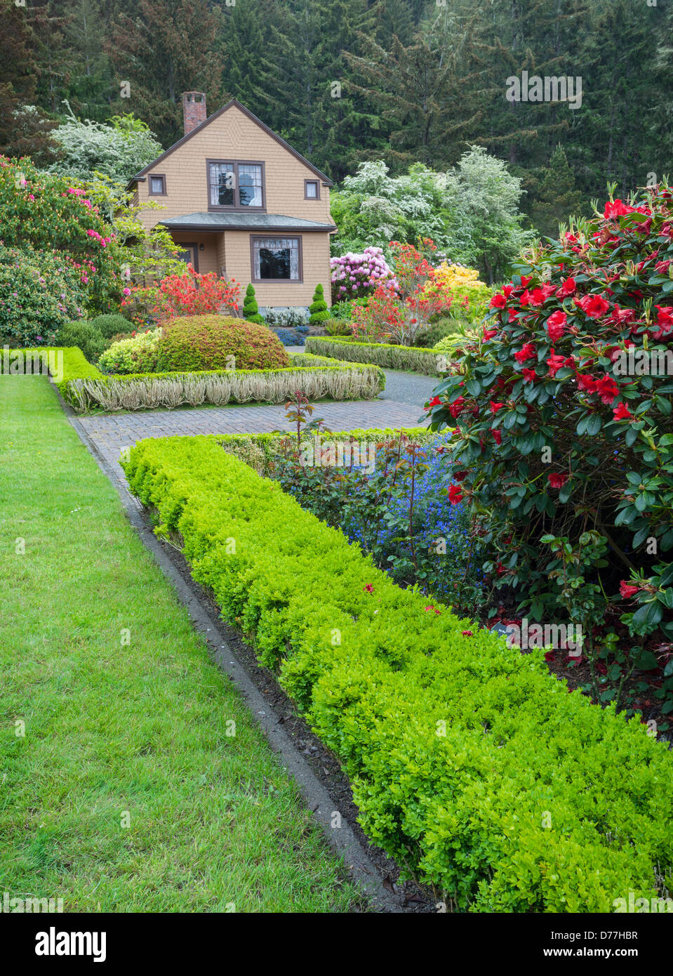 Shore Acres State Park, ou : Les Simpson Estate jardin au printemps d'azalées et de rhododendrons en fleurs. Banque D'Images
