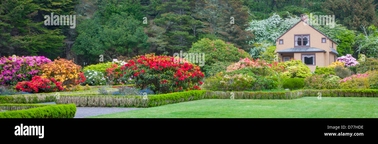 Shore Acres State Park, ou : Les Simpson Estate house et jardin au printemps d'azalées et de rhododendrons en fleurs. Banque D'Images
