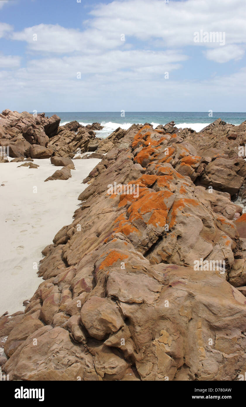 Plage rocheuse de Stokes Bay, Kangaroo Island, Australie du Sud Banque D'Images