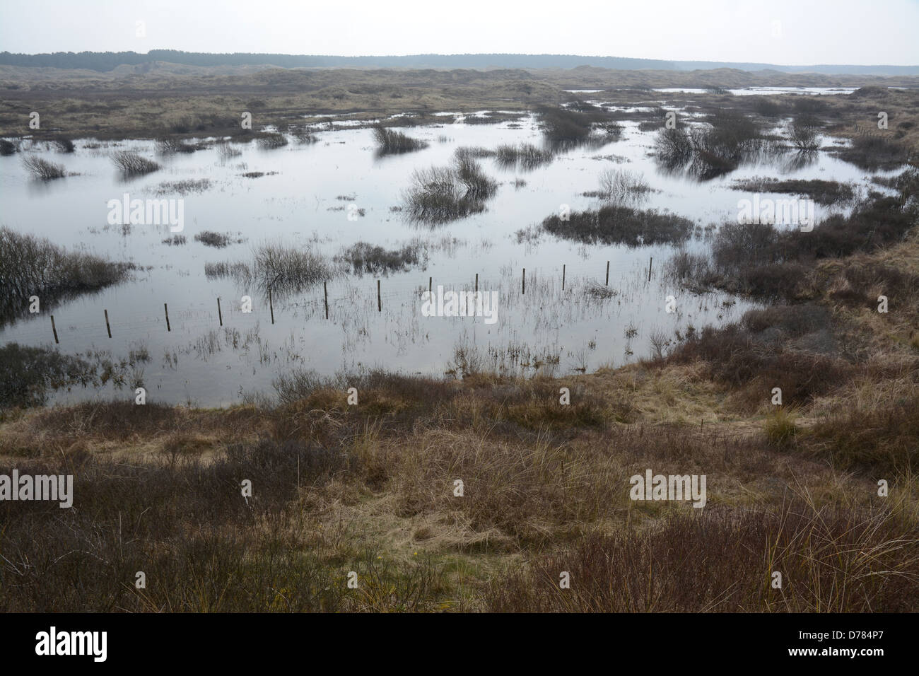 La côte de Sefton Zone Spéciale de Conservation couvre 4 500 hectares de plages et de dunes où les étangs saisonniers form Banque D'Images