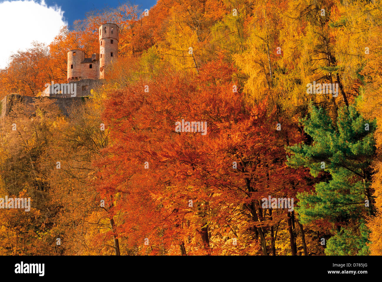 Allemagne, Hesse : château médiéval 'Schadeck' entouré de forêt d'automne à Neckarsteinach Banque D'Images