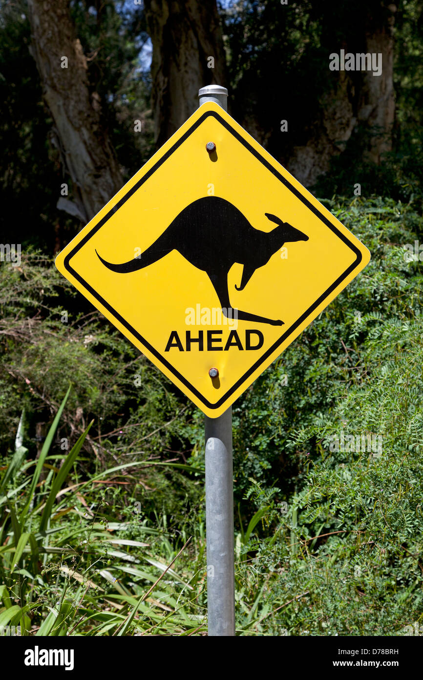 Kangaroo panneau d'avertissement sur la route en Australie Banque D'Images