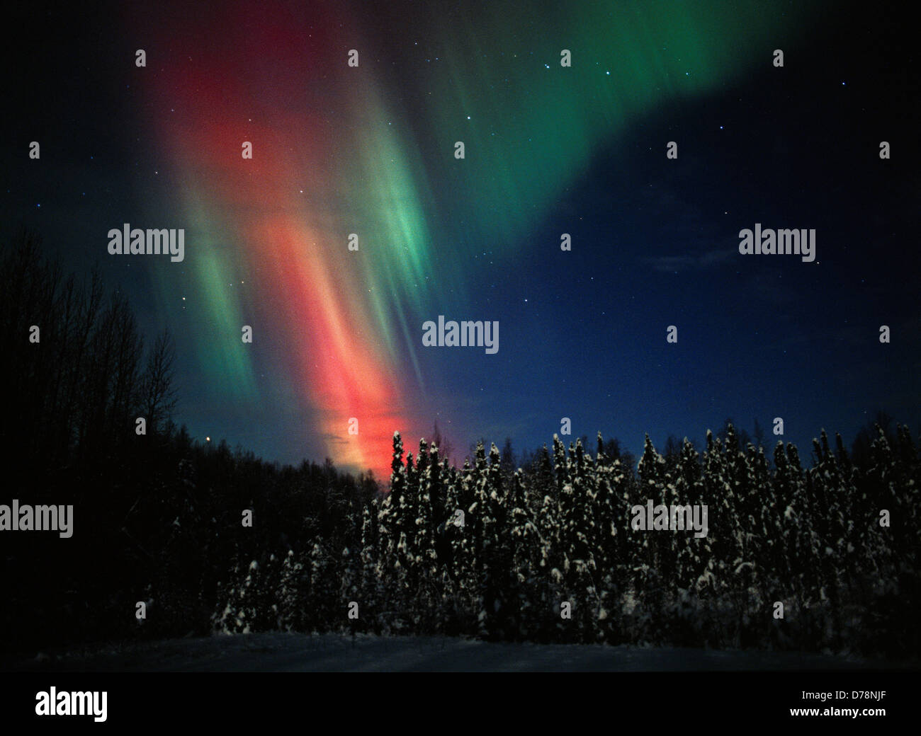 Rouge Vert aurora durant les orages géomagnétiques sur les 27 et 28 octobre 2001 nuit de la vallée supérieure de l'Alaska Susitna. Banque D'Images
