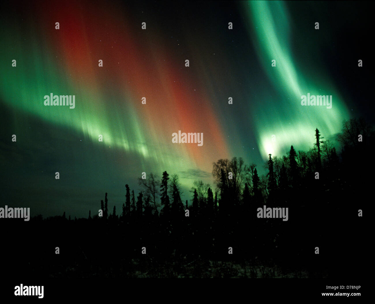 Rouge Vert brillant aurora durant les orages géomagnétiques sur les 27 et 28 octobre 2001 nuit de la vallée supérieure de l'Alaska Susitna. Banque D'Images