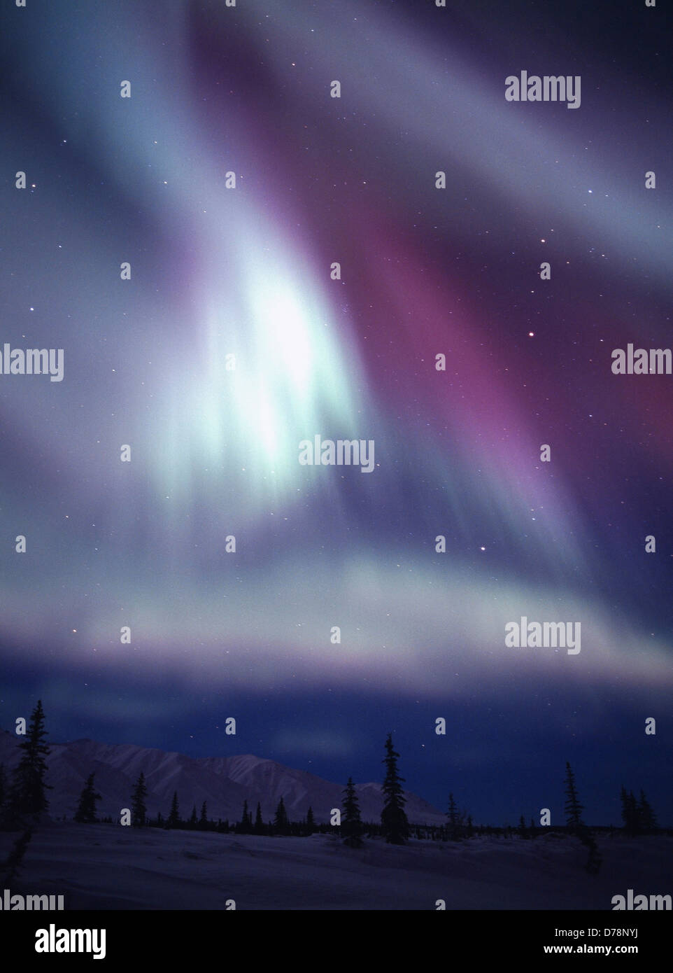 Marron vert aurora durant les orages géomagnétiques le 17 janvier 2005 Talkeetna Mountains près de Jack Creek Cantwell est l'Alaska. Banque D'Images