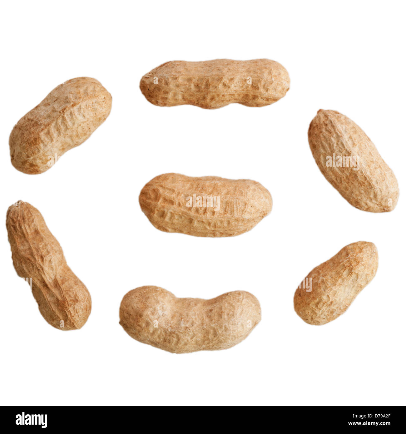 Les écrous de singe sur un fond blanc Banque D'Images