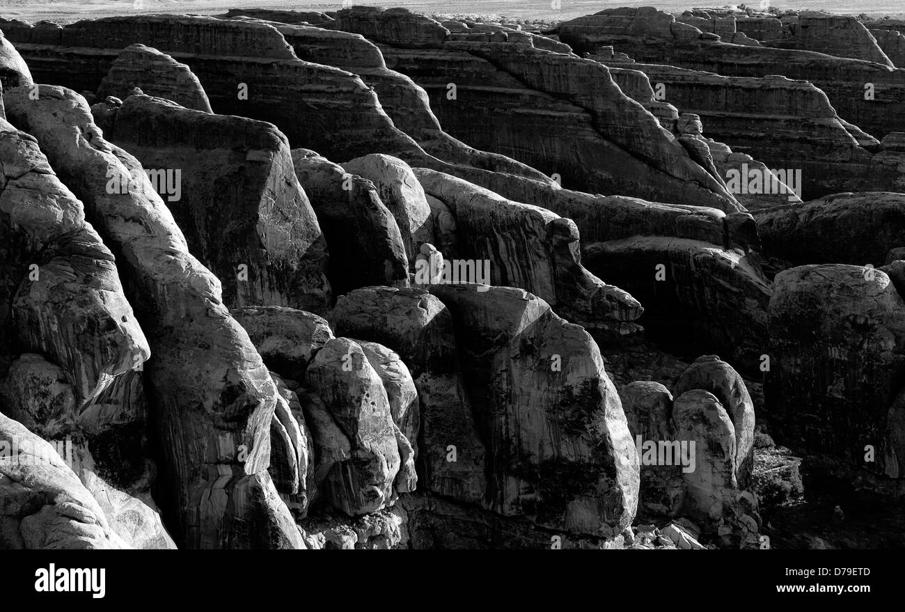 Les ailettes de grès section jardin Devils Arches national park moab Utah rock sculpté paysage désertique scenic noir et blanc Banque D'Images