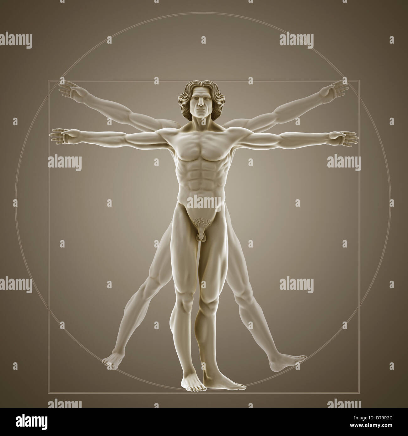 Homme de Vitruve Banque D'Images
