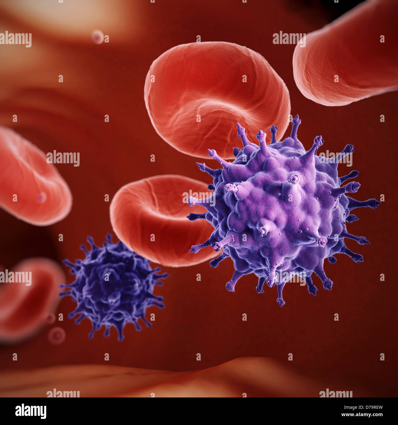 Infection sexuellement transmissible Banque de photographies et d ...