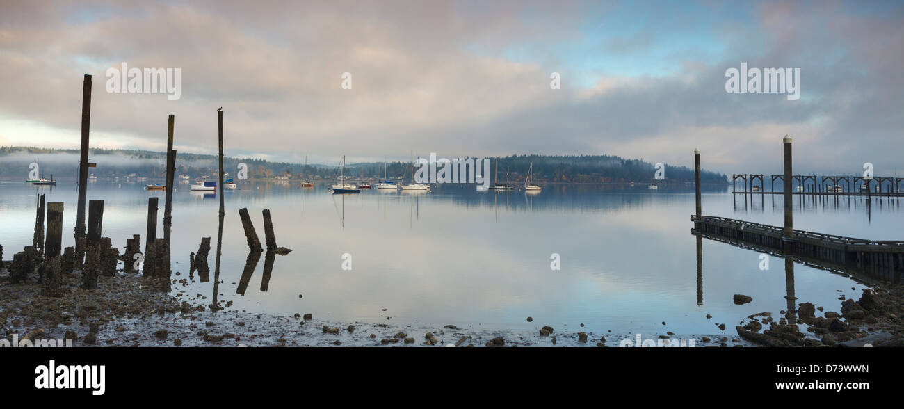 Vashon Island, Washington : l'effacement de brouillard sur Intendance Harbor, Dockton. Maury Island Banque D'Images