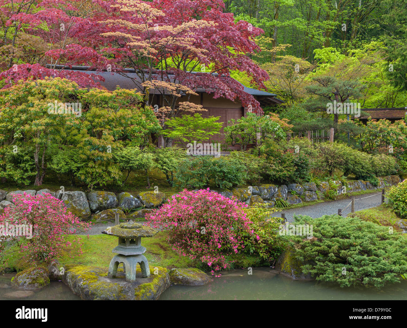 Seattle, WA : maison de thé japonais situé au milieu des arbres au printemps et de sentiers dans le Parc Washington jardin japonais de l'Arboretum Banque D'Images Seattle, WA : maison de thé japonais situé au milieu des arbres au printemps et de sentiers dans le Parc Washington jardin japonais de l'Arboretum Banque D'Images