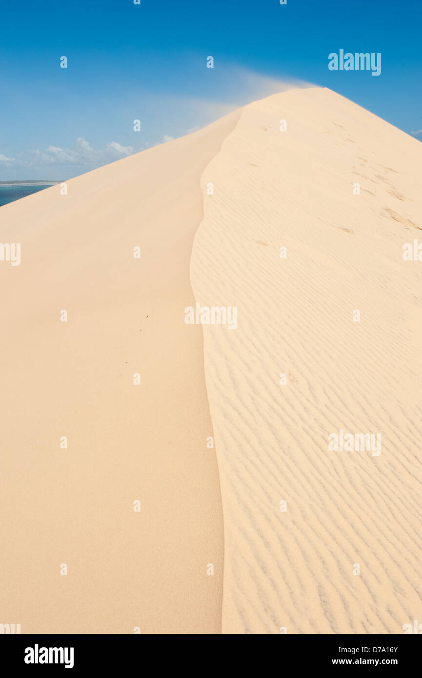L'île de Bazaruto, dunes, au Mozambique Banque D'Images