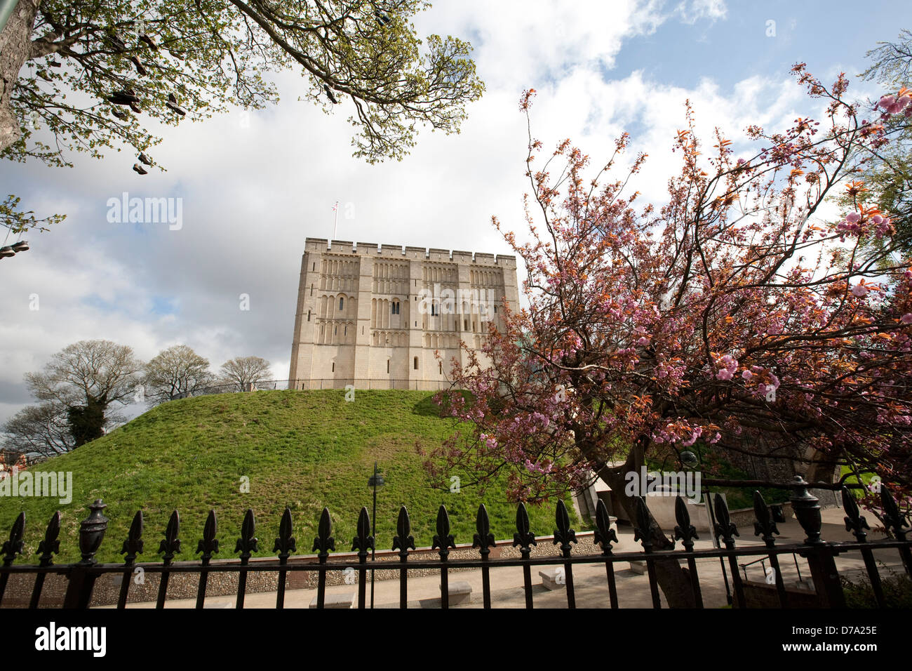 Château de Norwich Banque D'Images