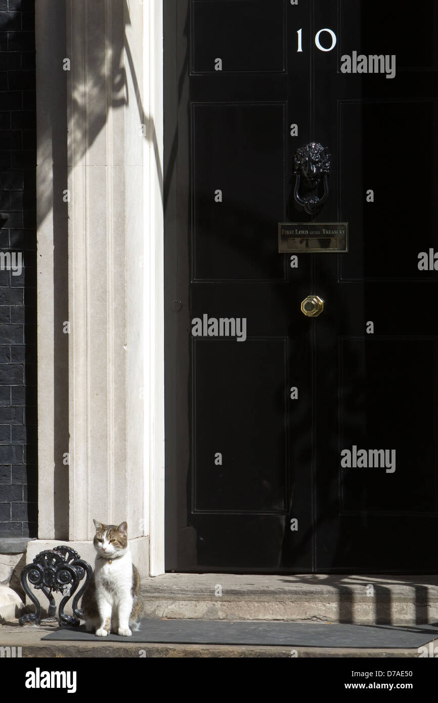 Larry le Chat,Downing Street,London Banque D'Images
