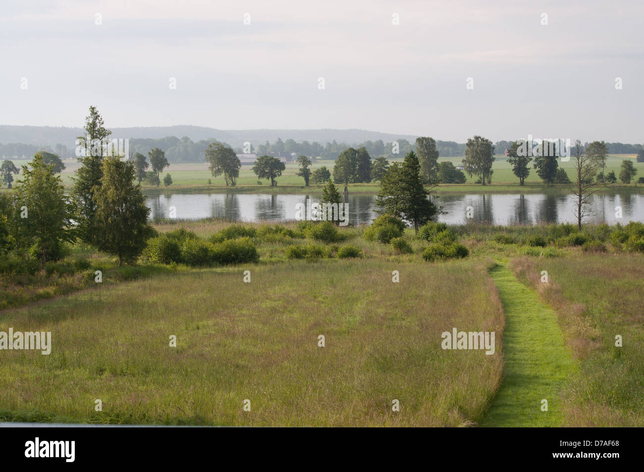 Rivière qui coule à travers l'été vert paysage, l'ouest de la Suède Banque D'Images