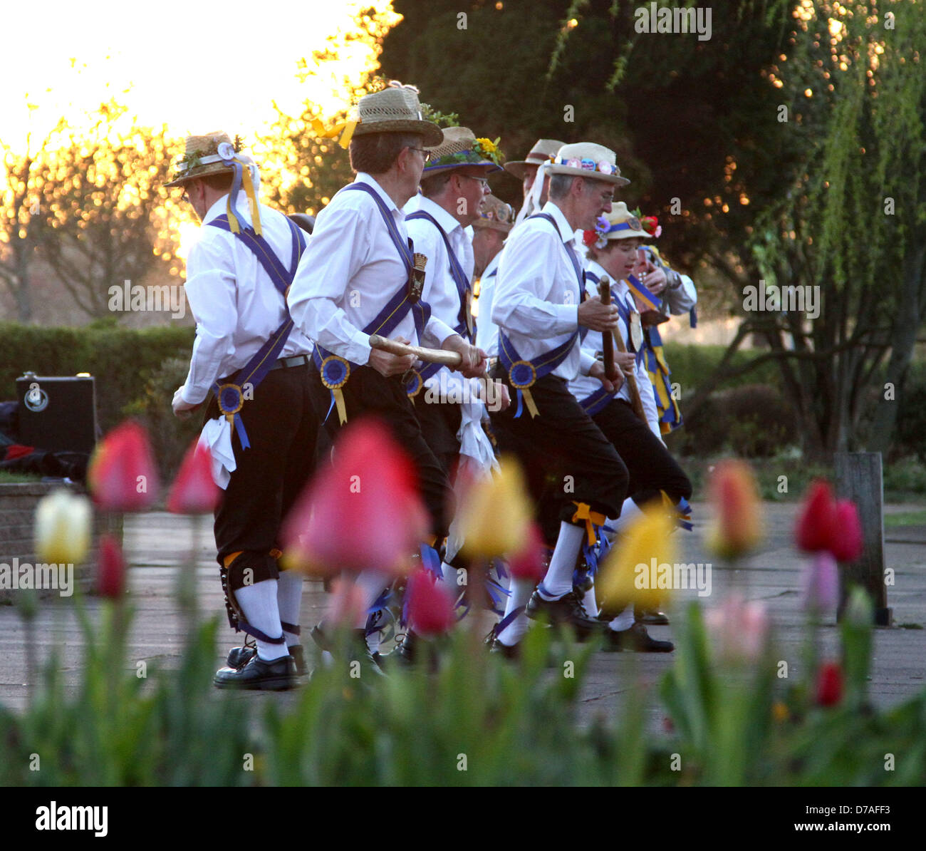 Peterborough, Royaume-Uni. 1er mai 2013. Le Peterborough Morris groupe exécutant la danse de l'aube sur le quai à Peterborough, Cambridgeshire. Ceci est fait pour le premier mai à accueillir le soleil avant l'été de la danse Morris est une forme de English Folk Dance avec les danseurs portant des électrodes sur leurs tibias bell et utilisent souvent des mouchoirs et des bâtons dans leurs routines. Pic : Paul Marriott Photography/Alamy Live News Banque D'Images