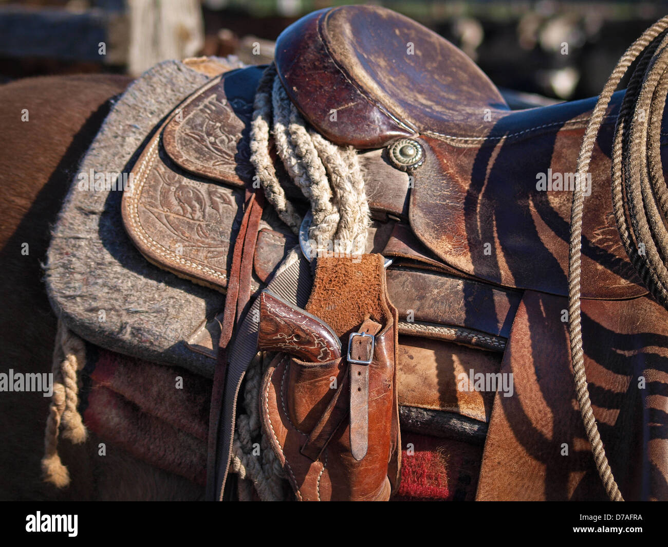 Selle cuir cowboy du Texas avec pistolet et western. Banque D'Images