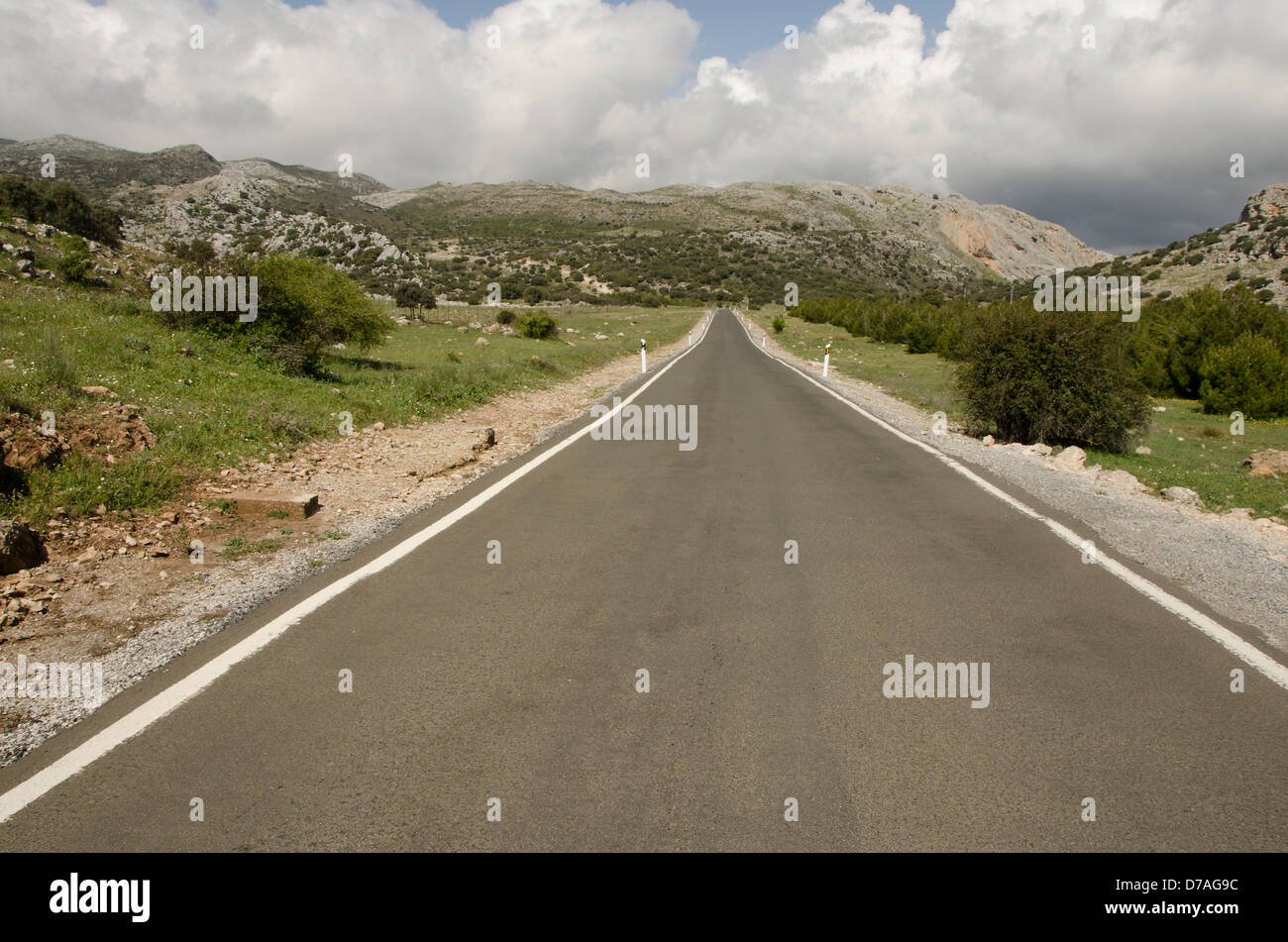 Route à travers la Sierra de Ronda, dans le sud de l'Espagne Banque D'Images