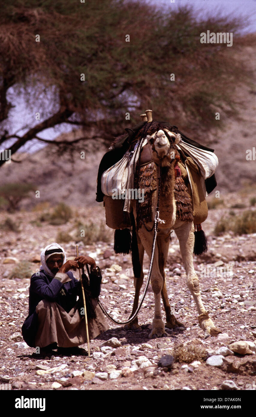 Nomades bédouins membre de la tribu Zawaideh, originaire de les déserts du sud de la Jordanie et de l'ouest de l'Arabie saoudite avec son chameau dans le désert de Wadi Rum connu aussi sous le nom de la vallée de la lune, dans le sud de la Jordanie Banque D'Images